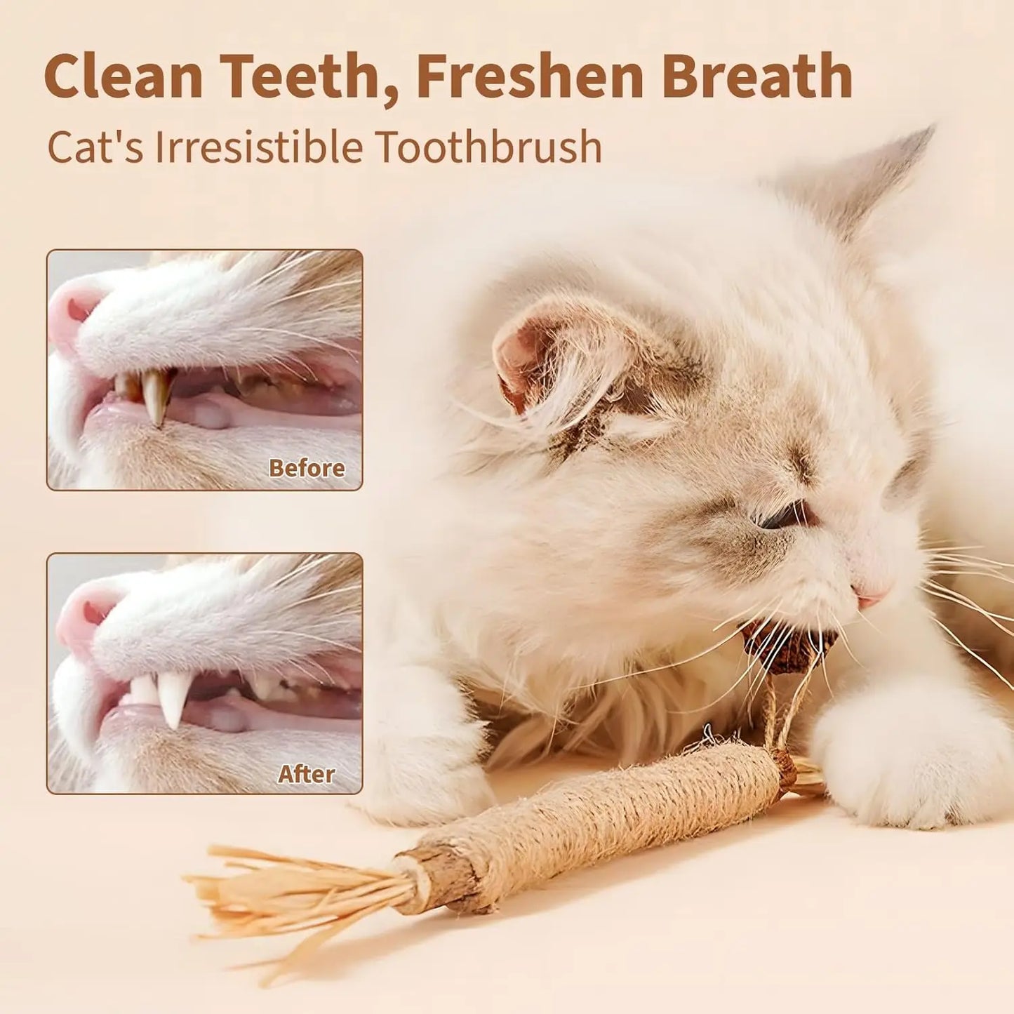 CN Silvervine Cat Chew Sticks Natural Dental Toy For Kittens