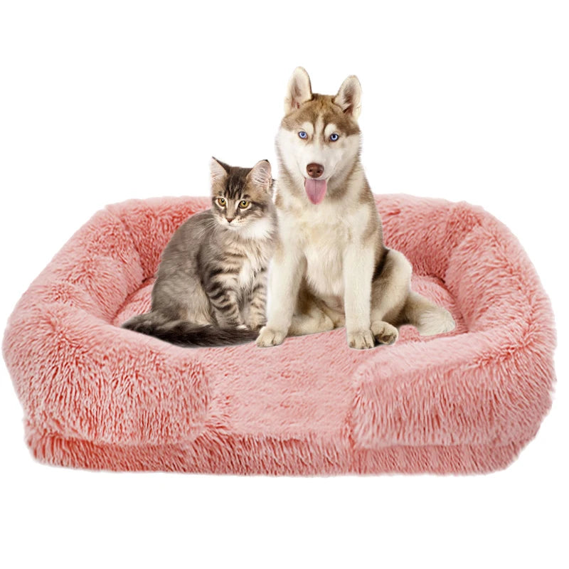 Jiangsu Thickened Orthopedic Dog Bed With Egg Sponge Cushion