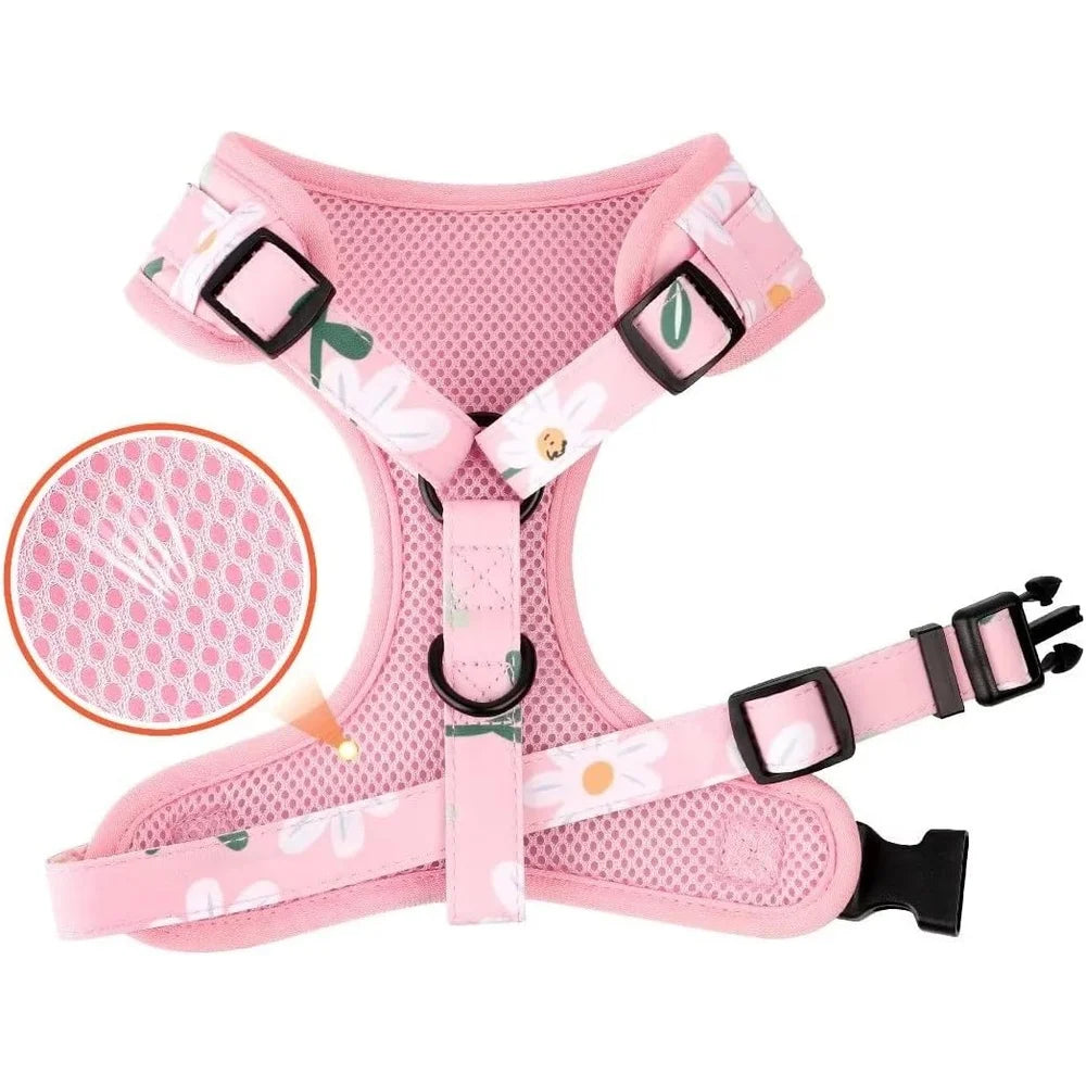 XMSJ Cute Floral Dog Harness Leash Set With Adjustable Collar