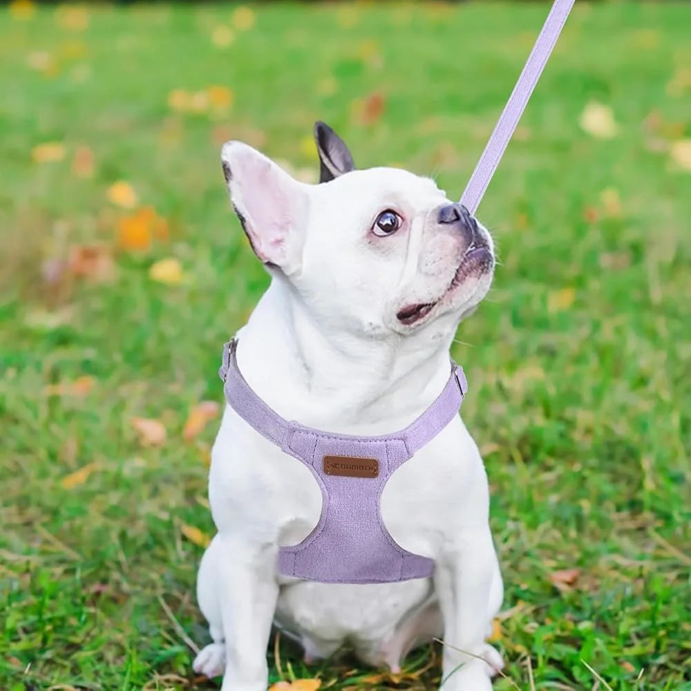 XMSJ No Pull Dog Harness Leash Set Soft Small Dogs