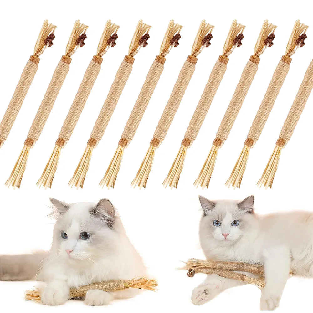 CN Silvervine Cat Chew Sticks Natural Dental Toy For Kittens