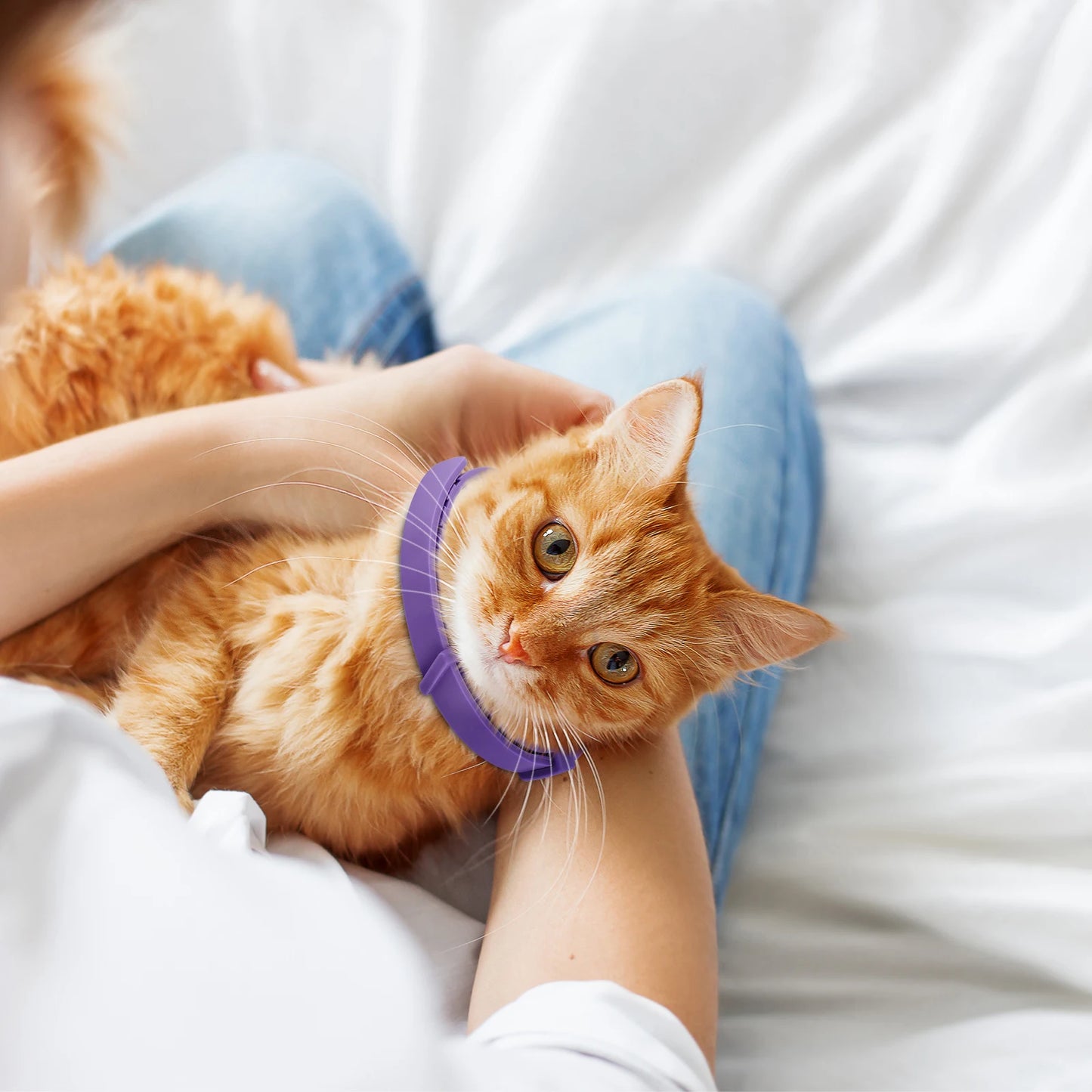 Shunmaii Cat Calming Collars Pheromone Pack Anti Anxiety