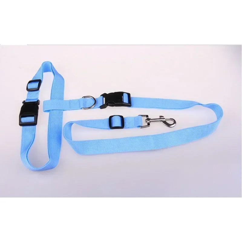 CN Guangdong Adjustable Dog Cat Leash Jogging Belt Lead WeatherproofHeavyDutyNylon