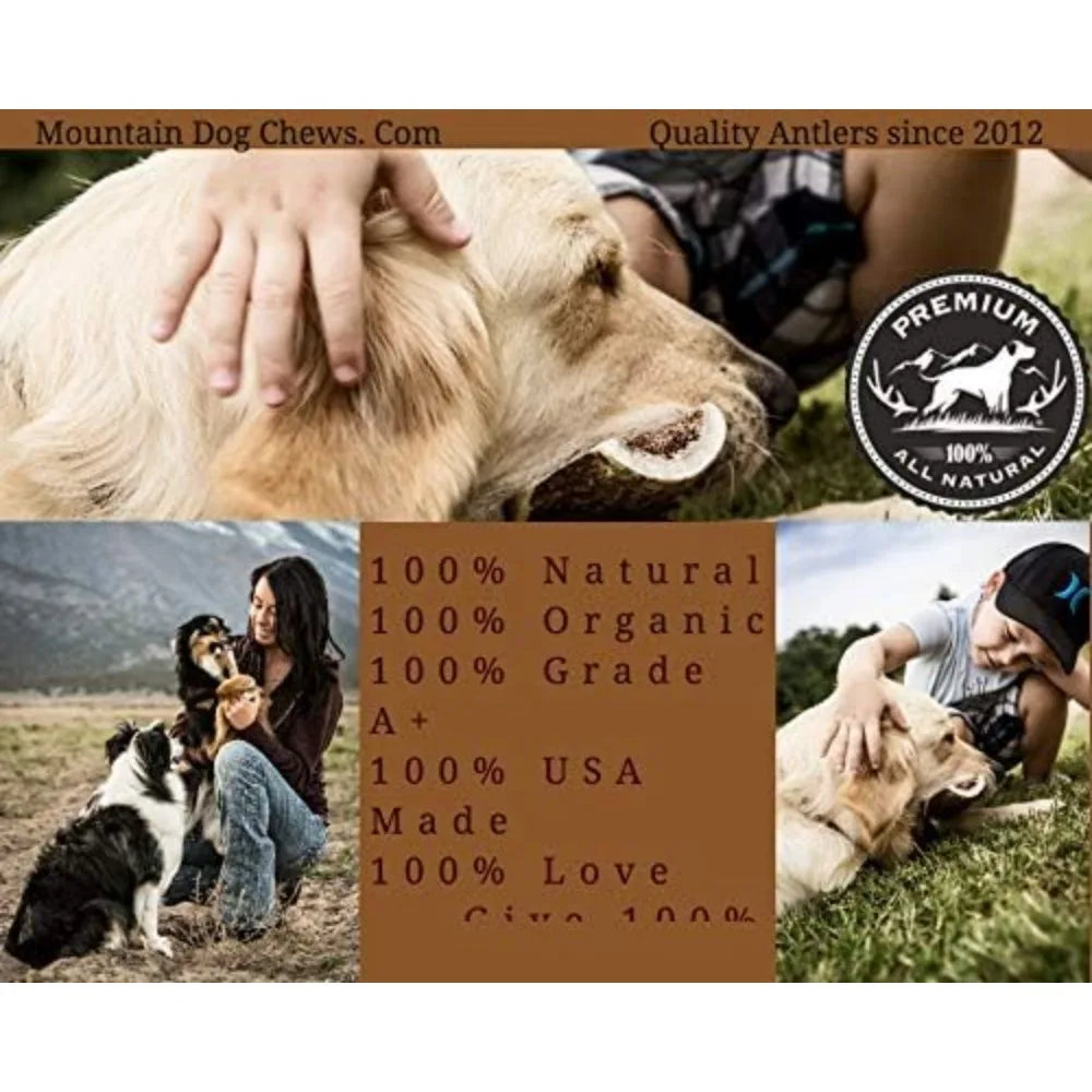 Flavor Elk Antler Dog Chew 2 Pack Grade A Premium USA Made