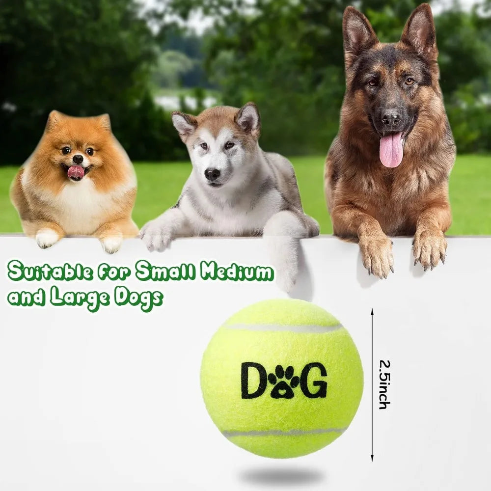 40 Pack Tennis Balls Dog Toys Bulk With Carrying Bags