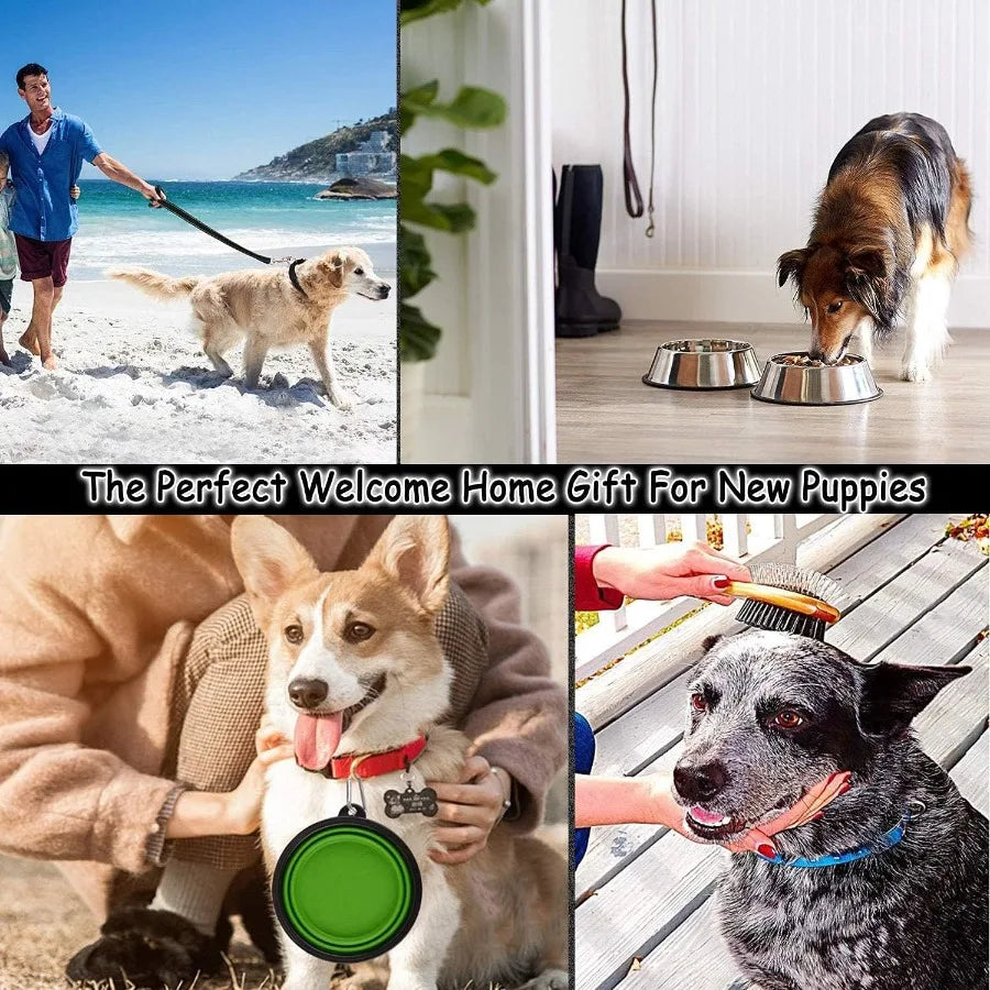 Puppy Supplies Starter Kit 39 Piece Set Puppies And Dogs