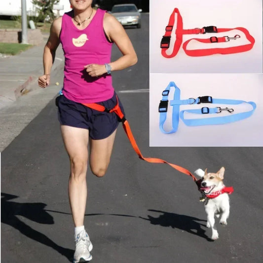 CN Guangdong Adjustable Dog Cat Leash Jogging Belt Lead WeatherproofHeavyDutyNylon